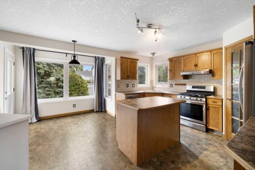 439 Douglas Woods Drive Se, Calgary, AB - Indoor Photo Showing Kitchen With Double Sink