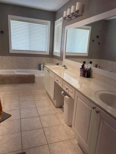 249 West Lakeview Place, Chestermere, AB - Indoor Photo Showing Bathroom