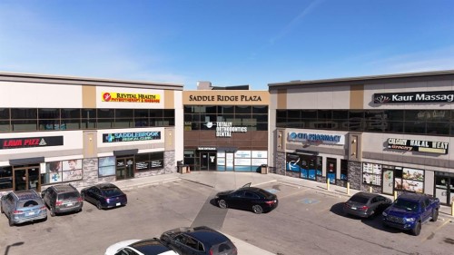 220-20 Saddlestone Drive Ne, Calgary, AB 