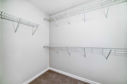 36 Savanna Place Ne, Calgary, AB - Indoor With Storage