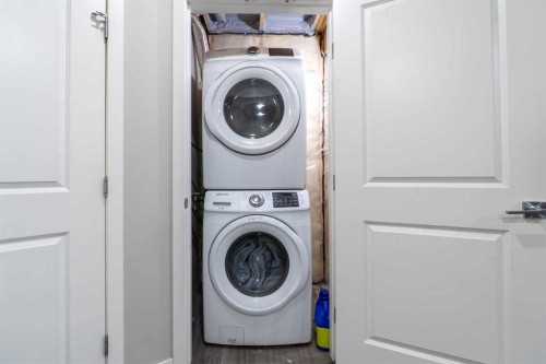83 Cornerstone Link Ne, Calgary, AB - Indoor Photo Showing Laundry Room