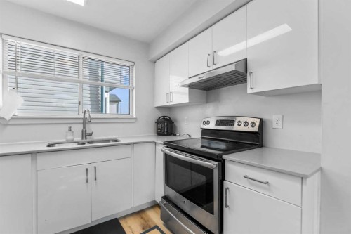 3806 Catalina Boulevard Ne, Calgary, AB - Indoor Photo Showing Kitchen With Double Sink