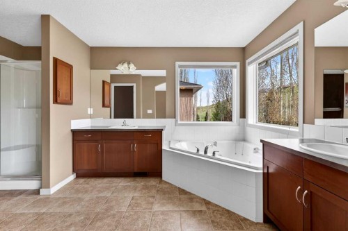 337 Discovery Ridge Boulevard Sw, Calgary, AB - Indoor Photo Showing Bathroom