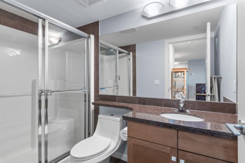 206-30 Cranfield Link Se, Calgary, AB - Indoor Photo Showing Bathroom