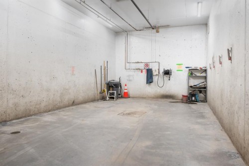 206-30 Cranfield Link Se, Calgary, AB - Indoor Photo Showing Garage