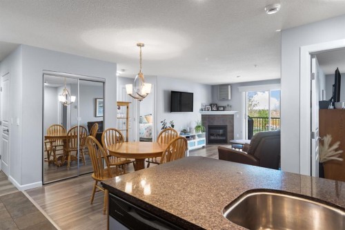 206-30 Cranfield Link Se, Calgary, AB - Indoor With Fireplace