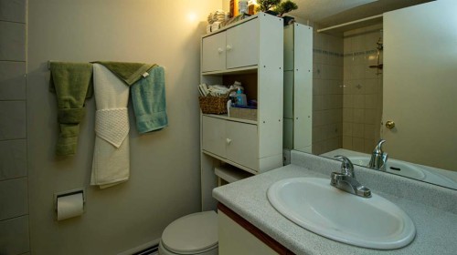 302-1111 15 Avenue Sw, Calgary, AB - Indoor Photo Showing Bathroom