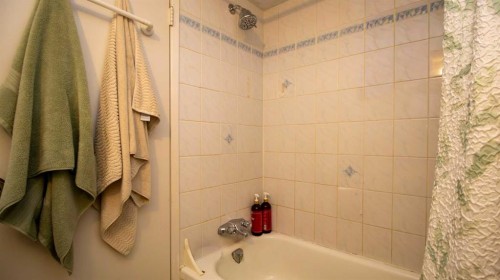 302-1111 15 Avenue Sw, Calgary, AB - Indoor Photo Showing Bathroom