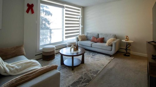 302-1111 15 Avenue Sw, Calgary, AB - Indoor Photo Showing Living Room
