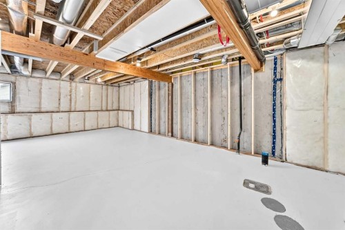 226 Greystone Boulevard, Cochrane, AB - Indoor Photo Showing Basement