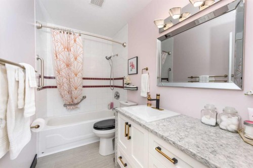 208 Van Horne Crescent Ne, Calgary, AB - Indoor Photo Showing Bathroom