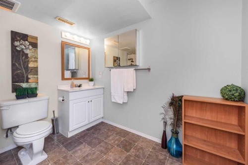 208 Van Horne Crescent Ne, Calgary, AB - Indoor Photo Showing Bathroom