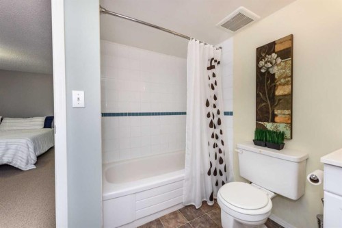 208 Van Horne Crescent Ne, Calgary, AB - Indoor Photo Showing Bathroom