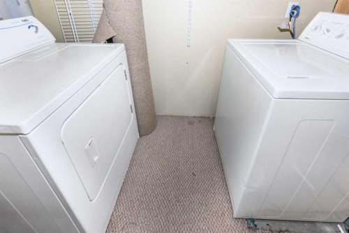 208 Van Horne Crescent Ne, Calgary, AB - Indoor Photo Showing Laundry Room