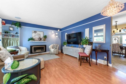 208 Van Horne Crescent Ne, Calgary, AB - Indoor Photo Showing Living Room With Fireplace