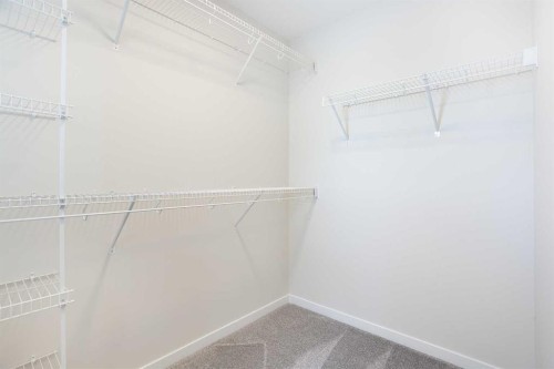 53 Creekside Passage Sw, Calgary, AB - Indoor With Storage