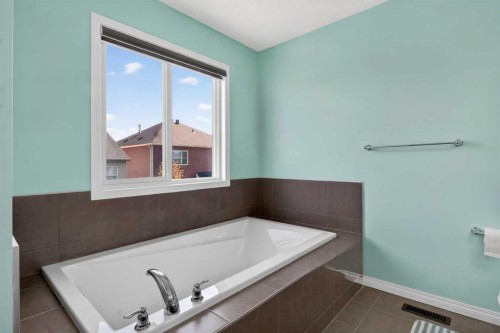 45 Cityscape View Ne, Calgary, AB - Indoor Photo Showing Bathroom