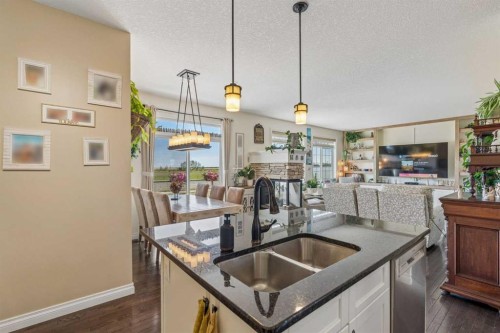 280 Rainbow Falls Way, Chestermere, AB - Indoor Photo Showing Kitchen With Double Sink