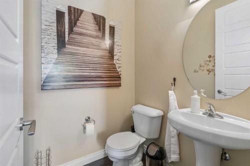 280 Rainbow Falls Way, Chestermere, AB - Indoor Photo Showing Bathroom