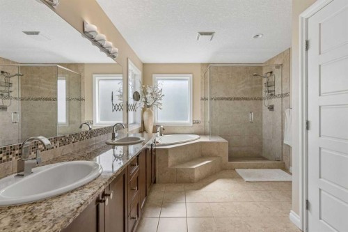 280 Rainbow Falls Way, Chestermere, AB - Indoor Photo Showing Bathroom