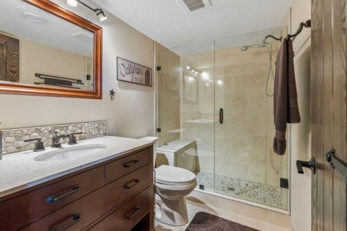 280 Rainbow Falls Way, Chestermere, AB - Indoor Photo Showing Bathroom