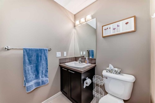 205 Copperpond Row Se, Calgary, AB - Indoor Photo Showing Bathroom