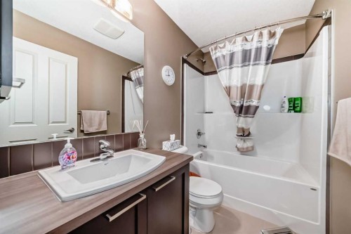 205 Copperpond Row Se, Calgary, AB - Indoor Photo Showing Bathroom