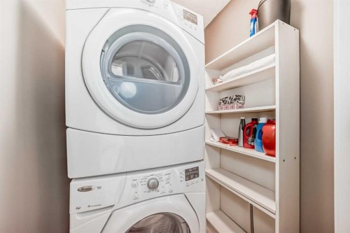 205 Copperpond Row Se, Calgary, AB - Indoor Photo Showing Laundry Room