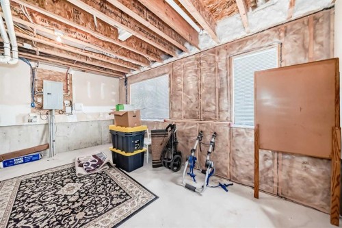 205 Copperpond Row Se, Calgary, AB - Indoor Photo Showing Basement