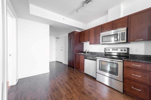 1307-3830 Brentwood Road Nw, Calgary, AB - Indoor Photo Showing Kitchen With Stainless Steel Kitchen