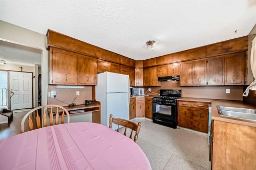 970 Berkley Drive Nw, Calgary, AB - Indoor Photo Showing Kitchen With Double Sink