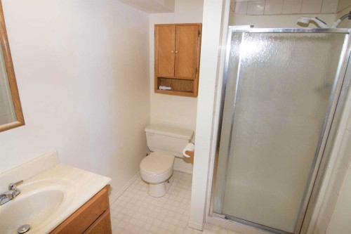 340 Templeton Circle Ne, Calgary, AB - Indoor Photo Showing Bathroom