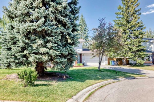 8 Varsdale Place Nw, Calgary, AB - Outdoor
