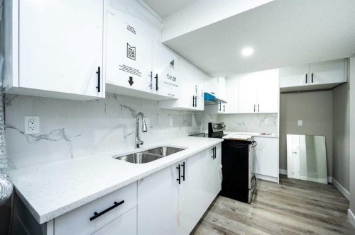 255 Castleridge Drive Ne, Calgary, AB - Indoor Photo Showing Kitchen With Double Sink