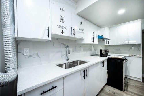 255 Castleridge Drive Ne, Calgary, AB - Indoor Photo Showing Kitchen With Double Sink