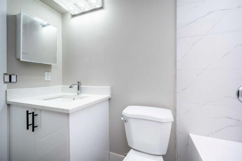255 Castleridge Drive Ne, Calgary, AB - Indoor Photo Showing Bathroom