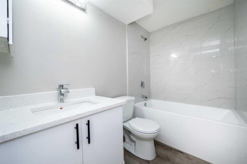 255 Castleridge Drive Ne, Calgary, AB - Indoor Photo Showing Bathroom