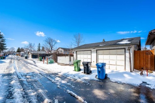 255 Castleridge Drive Ne, Calgary, AB - Outdoor