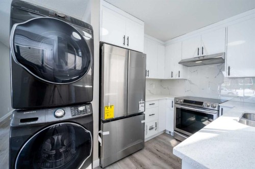 255 Castleridge Drive Ne, Calgary, AB - Indoor Photo Showing Laundry Room