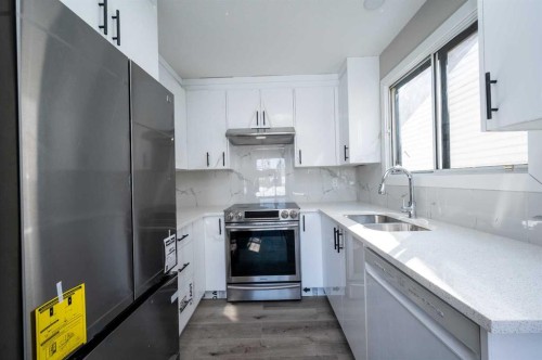 255 Castleridge Drive Ne, Calgary, AB - Indoor Photo Showing Kitchen With Stainless Steel Kitchen With Double Sink