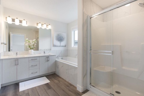 37 Savanna Heath Ne, Calgary, AB - Indoor Photo Showing Bathroom