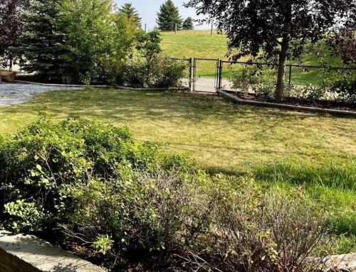 1233 Hillcrest Manor Estates, Strathmore, AB - Outdoor