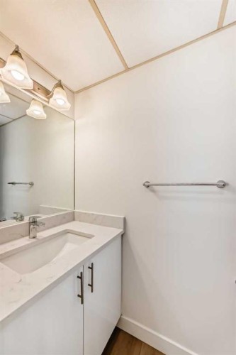 32-1515 Falconridge Drive Ne, Calgary, AB - Indoor Photo Showing Bathroom
