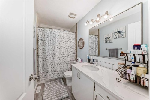 447 Malvern Close Ne, Calgary, AB - Indoor Photo Showing Bathroom