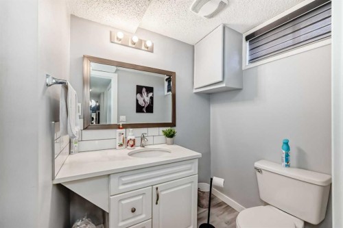 447 Malvern Close Ne, Calgary, AB - Indoor Photo Showing Bathroom