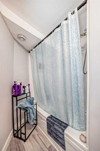 447 Malvern Close Ne, Calgary, AB - Indoor Photo Showing Bathroom