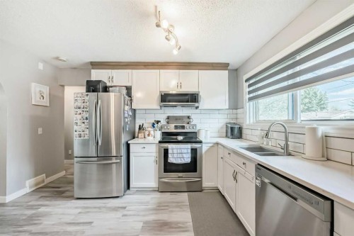 447 Malvern Close Ne, Calgary, AB - Indoor Photo Showing Kitchen With Stainless Steel Kitchen With Double Sink