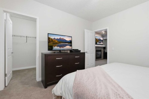 43 Auburn Bay Crescent Se, Calgary, AB 