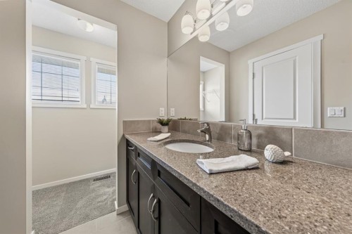 86 Mahogany Drive Se, Calgary, AB - Indoor Photo Showing Bathroom