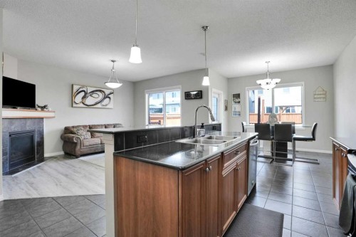 454 Skyview Ranch Way Ne, Calgary, AB - Indoor Photo Showing Kitchen With Fireplace With Double Sink
